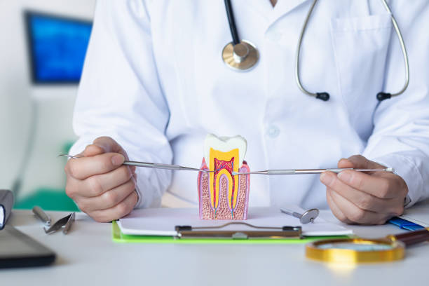 Best Broken or Chipped Tooth Repair in Dunn, NC